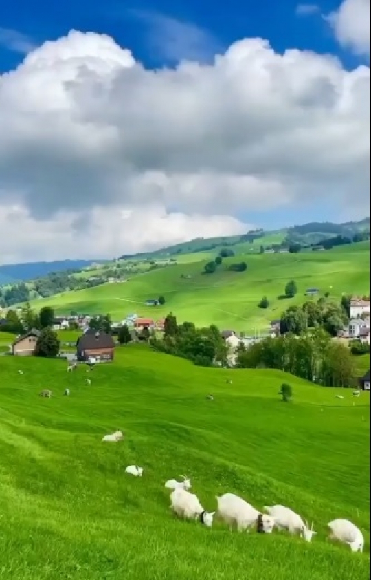 Kampung di Swiss Ini Indahnya Bukan Main, Kayak Negeri Khayalan