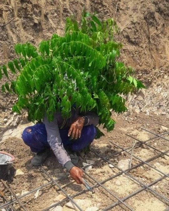 Demi Hindari Panas, Intip Ide Kocak Sekaligus Cemerlang Para Tukang Bangunan Ini