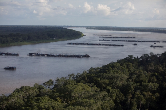 Ratusan Rakit Penambang Liar Keruk Emas di Anak Sungai Amazon