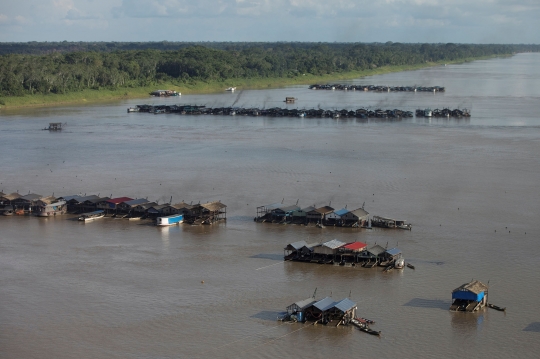 Ratusan Rakit Penambang Liar Keruk Emas di Anak Sungai Amazon