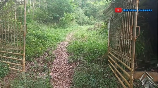Potret Villa dan Tempat Wisata Terbengkalai di Tengah Hutan, Luasnya 5 Hektare