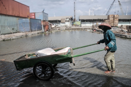 Banjir Rob Berkepanjangan di Pelabuhan Sunda Kelapa