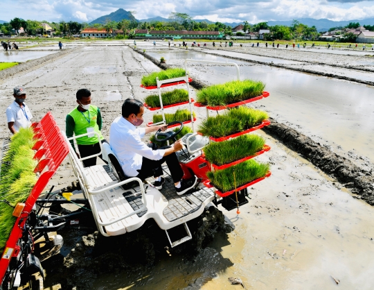 Saat Jokowi Jajal Mesin Tanam Padi di Trenggalek