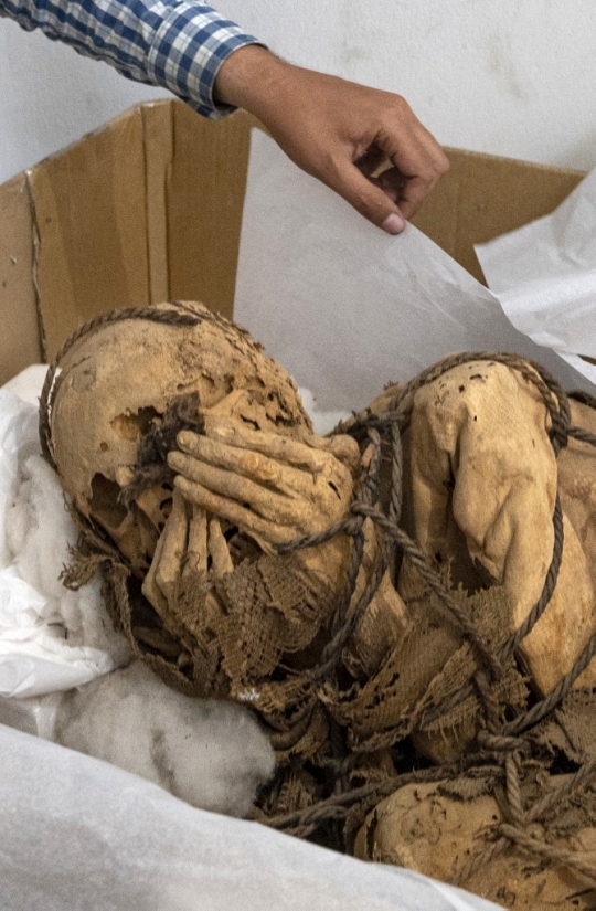 Penemuan Mumi Berusia 800 Tahun dengan Tubuh Terikat di Peru