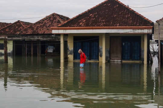 Banjir Rob Rendam Rumah Warga Demak