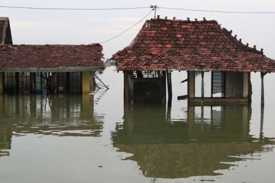 Banjir Rob Rendam Rumah Warga Demak