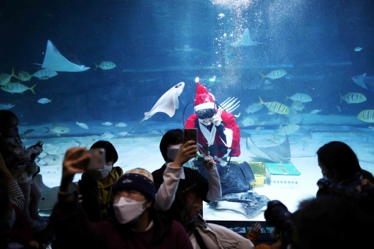 Aksi Sinterklas Hibur Pengunjung dari Dalam Aquarium Raksasa