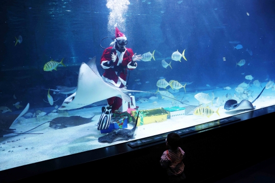 Aksi Sinterklas Hibur Pengunjung dari Dalam Aquarium Raksasa