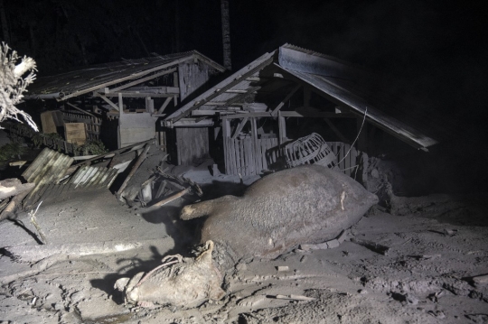 Suasana Pencarian Korban Erupsi Gunung Semeru di Lumajang