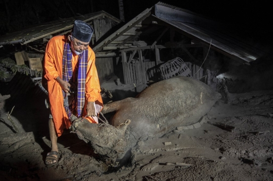 Suasana Pencarian Korban Erupsi Gunung Semeru di Lumajang