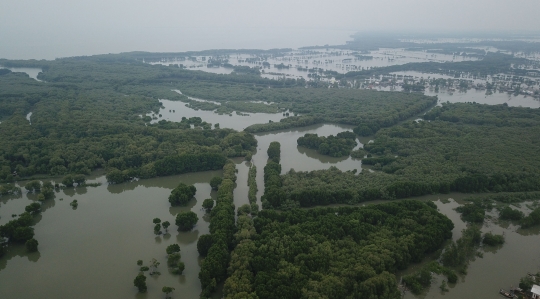 Banjir Rob Rendam Muara Gembong