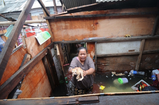 Rumah Warga Rusak Akibat Banjir Rob Tertinggi di Muara Baru