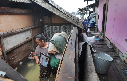 Rumah Warga Rusak Akibat Banjir Rob Tertinggi di Muara Baru