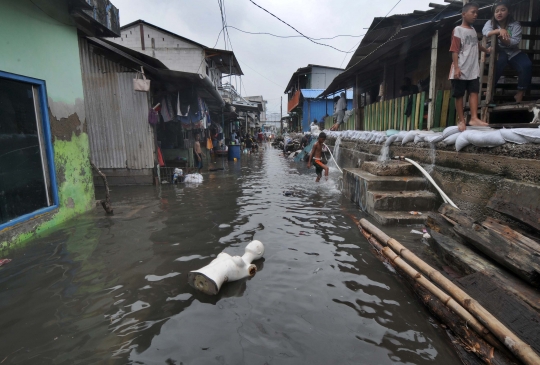 Rumah Warga Rusak Akibat Banjir Rob Tertinggi di Muara Baru