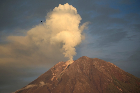 Aktivitas Gunung Semeru Terpantau Fluktuatif