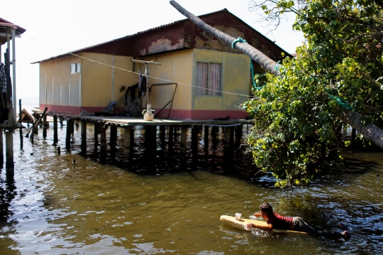 Potret Danau Maracaibo Venezuela Tercemar Minyak dan Ganggang Hijau