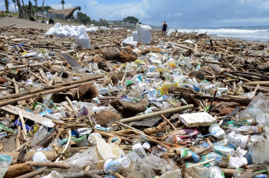 Aksi Turis Asing Bersihkan Sampah di Tepi Pantai Bali