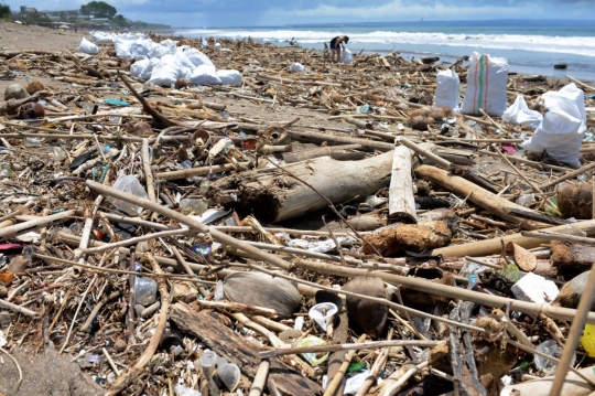 Aksi Turis Asing Bersihkan Sampah di Tepi Pantai Bali