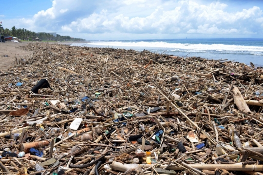 Aksi Turis Asing Bersihkan Sampah di Tepi Pantai Bali