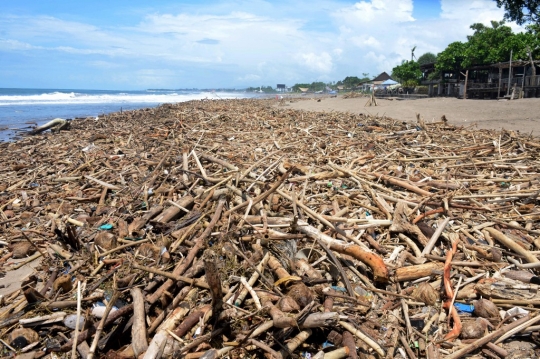 Aksi Turis Asing Bersihkan Sampah di Tepi Pantai Bali