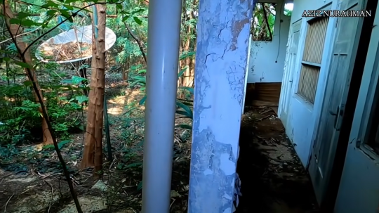 Rumah Bekas Pesugihan Terbengkalai, Kini Jadi Sarang Ular Kobra Besar