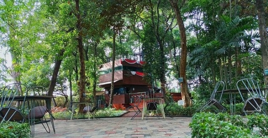 Tak Banyak yang Tahu, Ini Potret Kafe Unik di Tengah Hutan Kota Jakarta