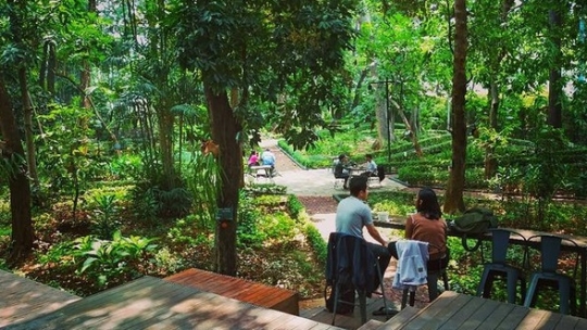 Tak Banyak yang Tahu, Ini Potret Kafe Unik di Tengah Hutan Kota Jakarta