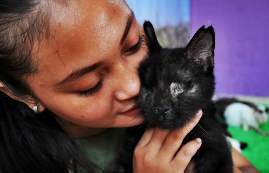 Mengunjungi Rumah Penampungan Kucing Disabilitas di Depok