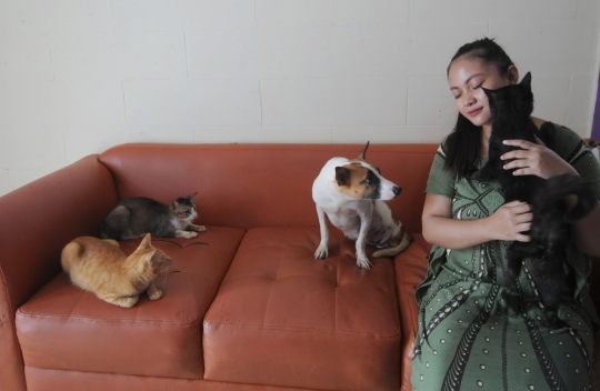 Mengunjungi Rumah Penampungan Kucing Disabilitas di Depok