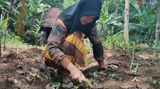 Potret Gadis Desa yang Cantik dan Mempesona, Begini Kesehariannya