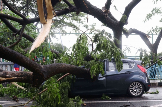 Cuaca Ekstrem, Pohon-Pohon Bertumbangan Timpa Mobil di Tangerang