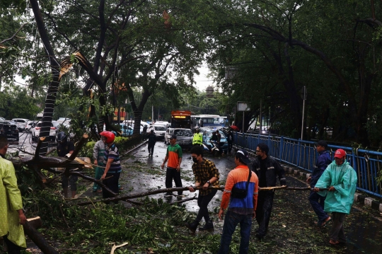 Cuaca Ekstrem, Pohon-Pohon Bertumbangan Timpa Mobil di Tangerang