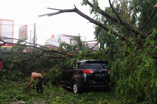 Cuaca Ekstrem, Pohon-Pohon Bertumbangan Timpa Mobil di Tangerang