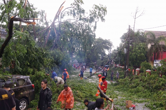 Cuaca Ekstrem, Pohon-Pohon Bertumbangan Timpa Mobil di Tangerang