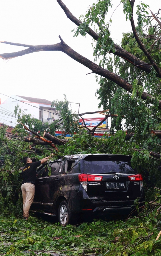 Cuaca Ekstrem, Pohon-Pohon Bertumbangan Timpa Mobil di Tangerang