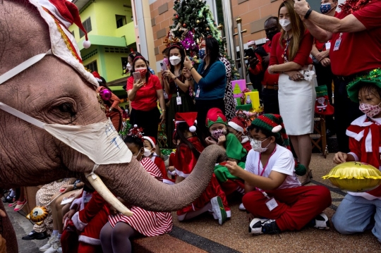 Aksi Gajah Berjubah Sinterklas Bagi-Bagi Kado Natal di Thailand