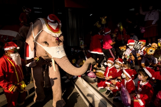 Aksi Gajah Berjubah Sinterklas Bagi-Bagi Kado Natal di Thailand