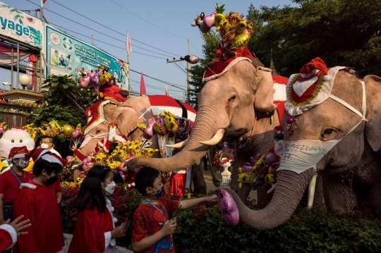 Aksi Gajah Berjubah Sinterklas Bagi-Bagi Kado Natal di Thailand