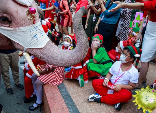 Aksi Gajah Berjubah Sinterklas Bagi-Bagi Kado Natal di Thailand