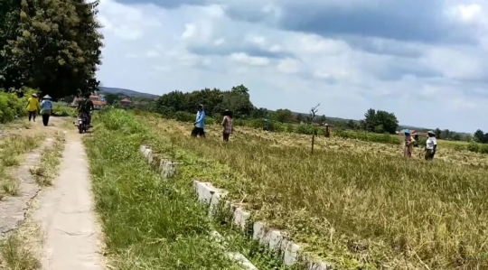 Potret Kampung Tersembunyi di Tengah Hutan Jati Lamongan, Gapura Masuk Curi Perhatian