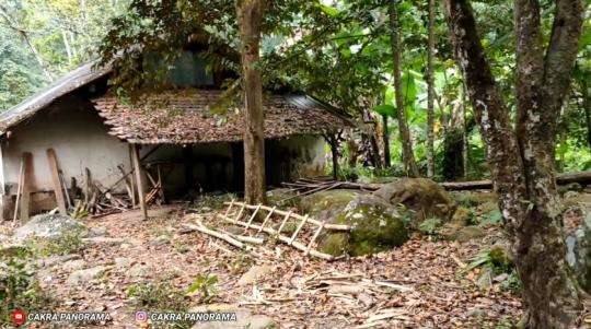 Potret Rumah Berdiri di Tengah Hutan Mojokerto, Adanya Parabola jadi Sorotan