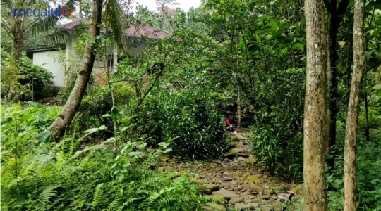 Potret Rumah Mewah Tersembunyi di Tengah Hutan Mojokerto, Tertutup Semak Belukar