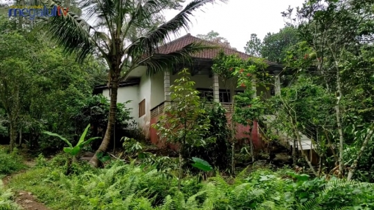 Potret Rumah Mewah Tersembunyi di Tengah Hutan Mojokerto, Tertutup Semak Belukar