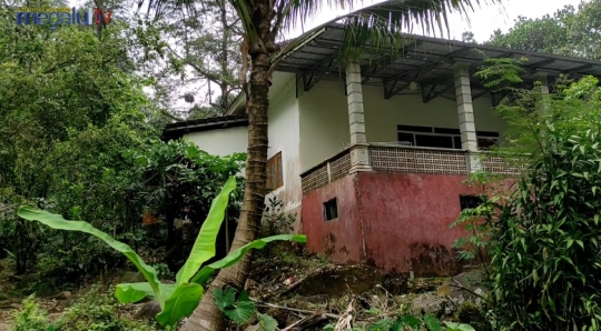 Potret Rumah Mewah Tersembunyi di Tengah Hutan Mojokerto, Tertutup Semak Belukar