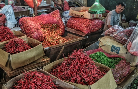 Harga Cabai Perlahan Turun