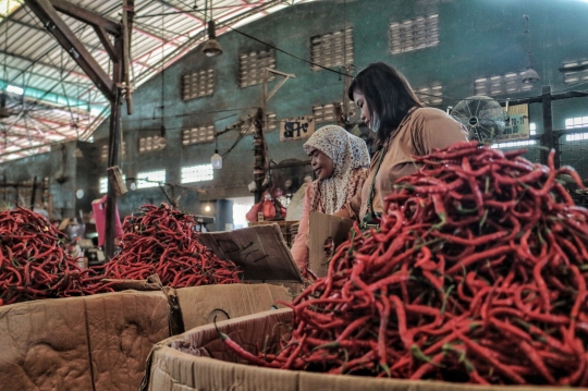 Harga Cabai Perlahan Turun