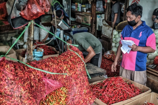 Harga Cabai Perlahan Turun