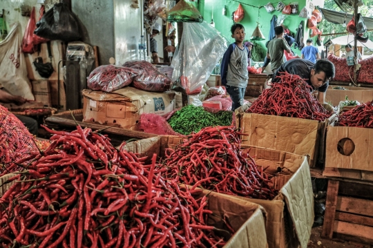 Harga Cabai Perlahan Turun