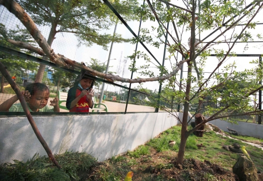 Bermain Sambil Mengenal Satwa di Taman Jalur Hijau Kosambi