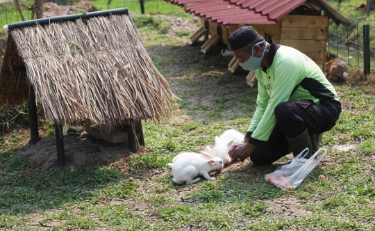 Bermain Sambil Mengenal Satwa di Taman Jalur Hijau Kosambi